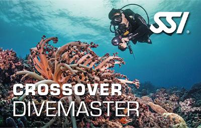 CrossOver para Divemaster online