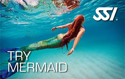 Try Mermaid
