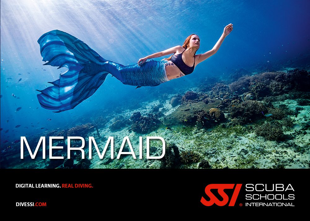 Programa Mermaid