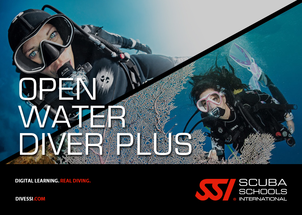 Pack Open Water Diver Plus