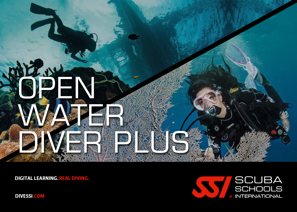 Pack Open Water Diver Plus