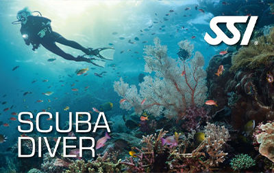 Actualización Basic Diver a Scuba Diver